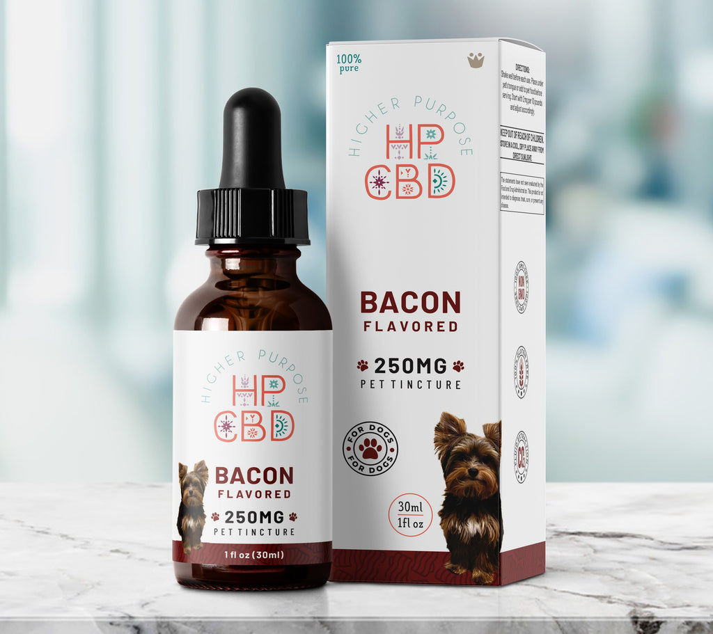 250mg CBD Oil for Dogs